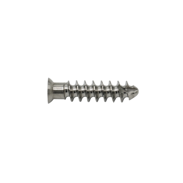 Acetabular Cup Locking Screw